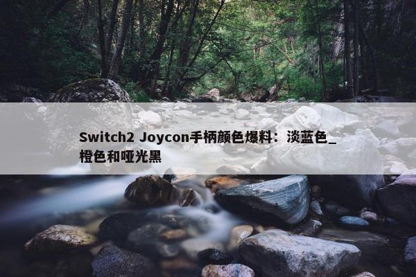 Switch2 Joycon手柄颜色爆料：淡蓝色_橙色和哑光黑