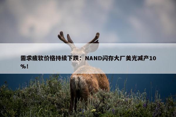 需求疲软价格持续下跌：NAND闪存大厂美光减产10%！