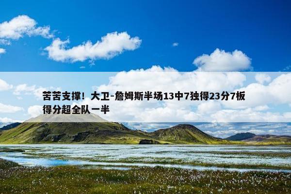 苦苦支撑！大卫-詹姆斯半场13中7独得23分7板 得分超全队一半