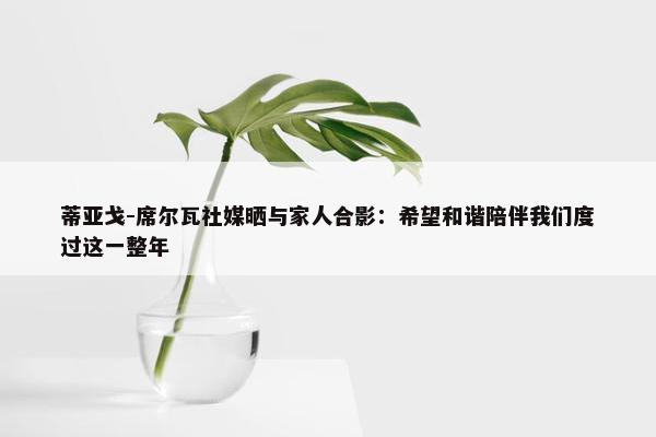 蒂亚戈-席尔瓦社媒晒与家人合影：希望和谐陪伴我们度过这一整年