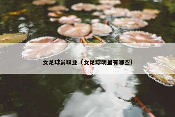 女足球员职业（女足球明星有哪些）