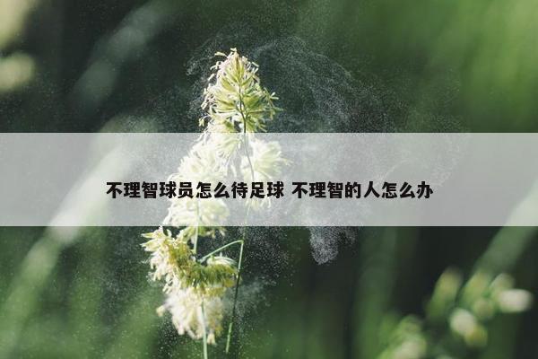 不理智球员怎么待足球 不理智的人怎么办