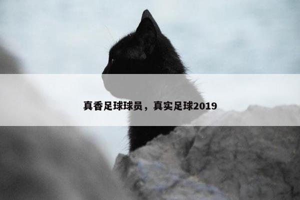 真香足球球员，真实足球2019