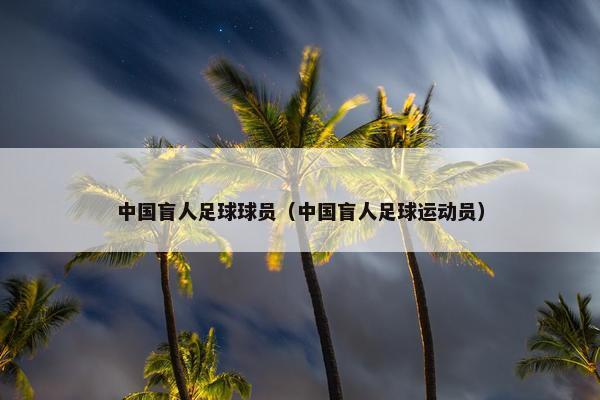 中国盲人足球球员（中国盲人足球运动员）