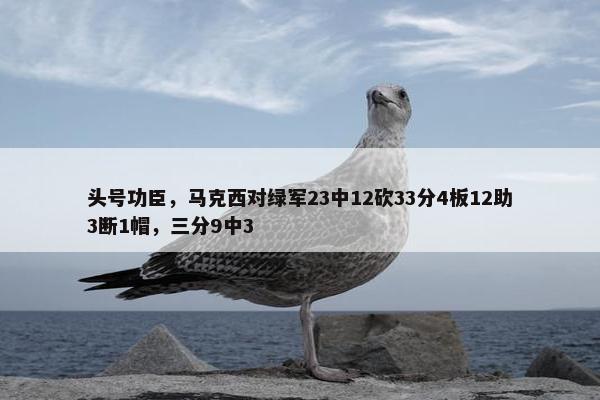 头号功臣，马克西对绿军23中12砍33分4板12助3断1帽，三分9中3