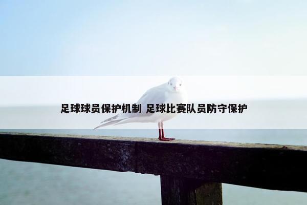 足球球员保护机制 足球比赛队员防守保护