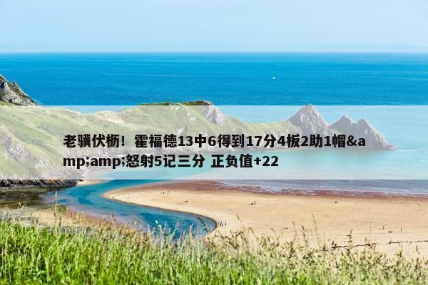 老骥伏枥！霍福德13中6得到17分4板2助1帽&amp;怒射5记三分 正负值+22