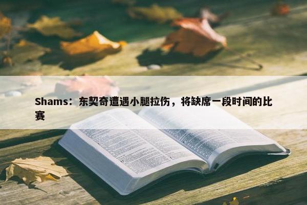 Shams：东契奇遭遇小腿拉伤，将缺席一段时间的比赛