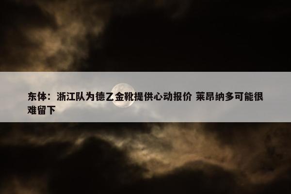 东体：浙江队为德乙金靴提供心动报价 莱昂纳多可能很难留下