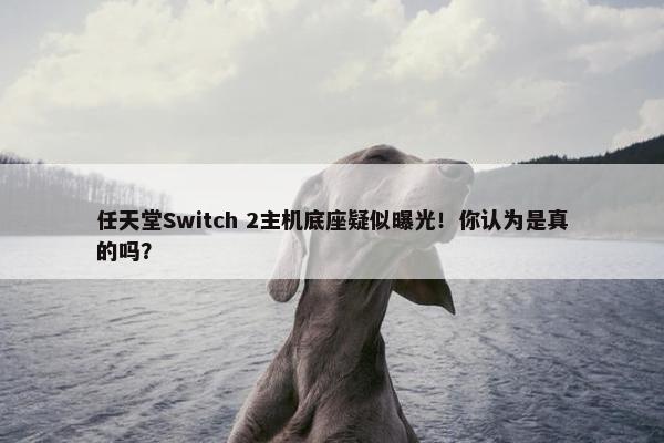 任天堂Switch 2主机底座疑似曝光！你认为是真的吗？