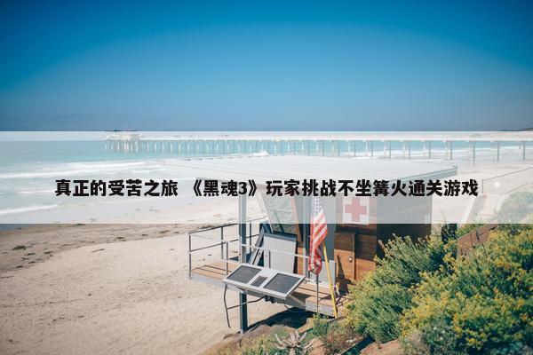 真正的受苦之旅 《黑魂3》玩家挑战不坐篝火通关游戏