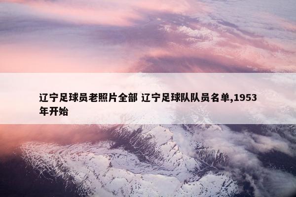 辽宁足球员老照片全部 辽宁足球队队员名单,1953年开始