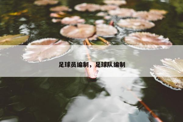 足球员编制，足球队编制