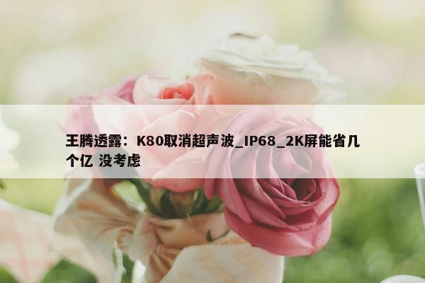 王腾透露：K80取消超声波_IP68_2K屏能省几个亿 没考虑