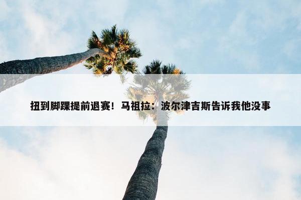 扭到脚踝提前退赛！马祖拉：波尔津吉斯告诉我他没事