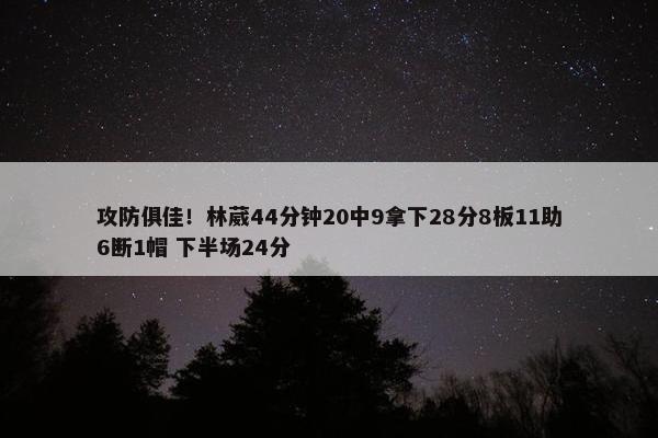 攻防俱佳！林葳44分钟20中9拿下28分8板11助6断1帽 下半场24分