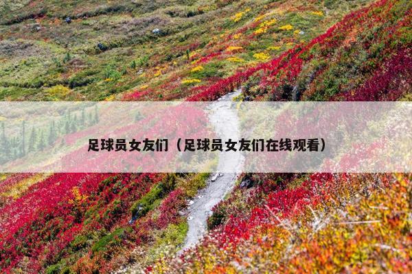 足球员女友们（足球员女友们在线观看）