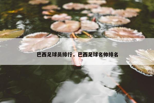 巴西足球员排行，巴西足球名帅排名