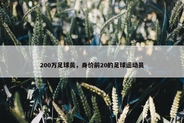 200万足球员，身价前20的足球运动员