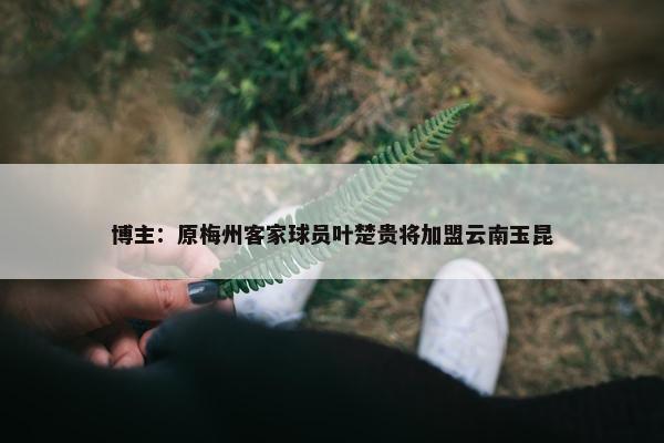 博主：原梅州客家球员叶楚贵将加盟云南玉昆