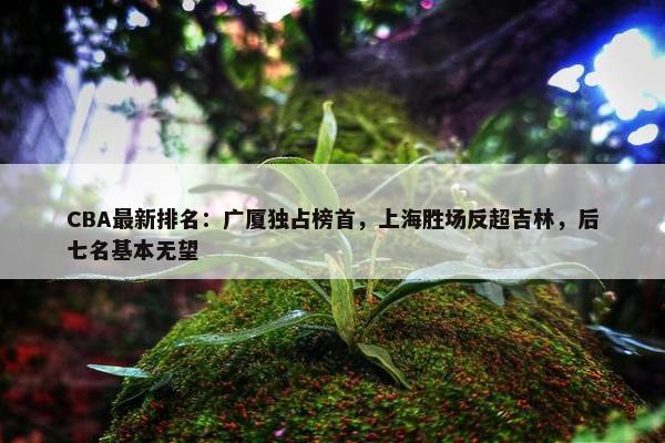 CBA最新排名：广厦独占榜首，上海胜场反超吉林，后七名基本无望