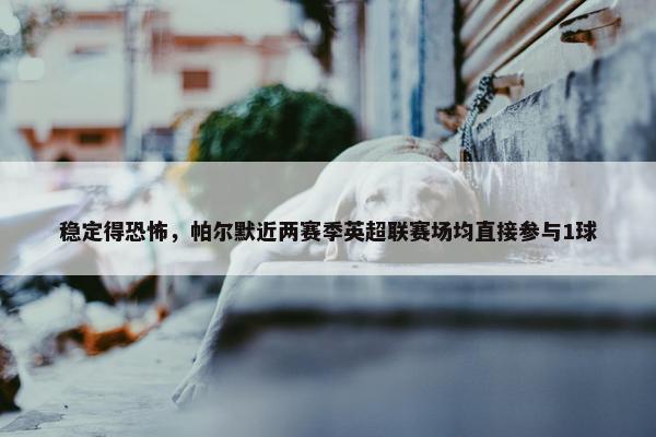 稳定得恐怖，帕尔默近两赛季英超联赛场均直接参与1球