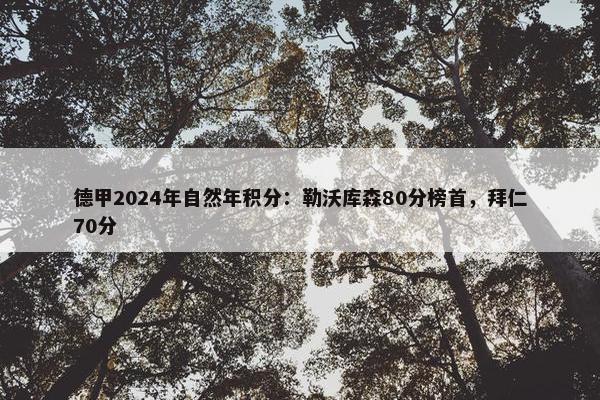 德甲2024年自然年积分：勒沃库森80分榜首，拜仁70分