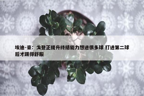 埃迪-豪：戈登正提升终结能力想进很多球 打进第二球后才踢得舒服