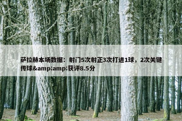 萨拉赫本场数据：射门5次射正3次打进1球，2次关键传球&amp;获评8.5分