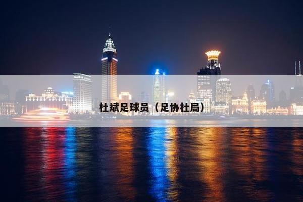 杜斌足球员（足协杜局）