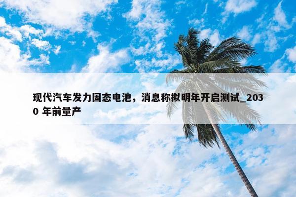 现代汽车发力固态电池，消息称拟明年开启测试_2030 年前量产