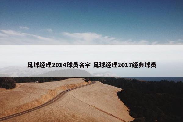 足球经理2014球员名字 足球经理2017经典球员