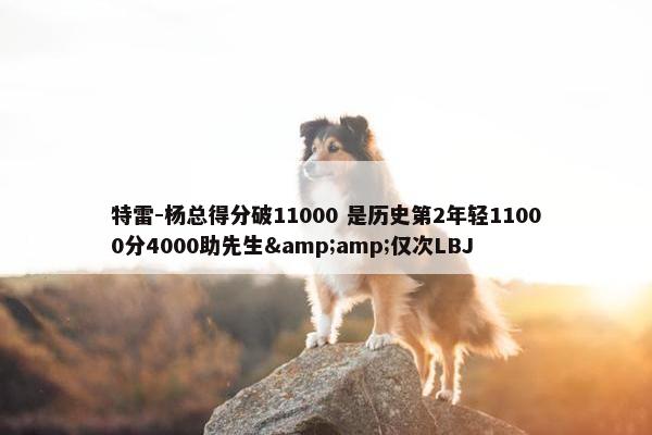 特雷-杨总得分破11000 是历史第2年轻11000分4000助先生&amp;仅次LBJ