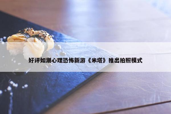 好评如潮心理恐怖新游《米塔》推出拍照模式