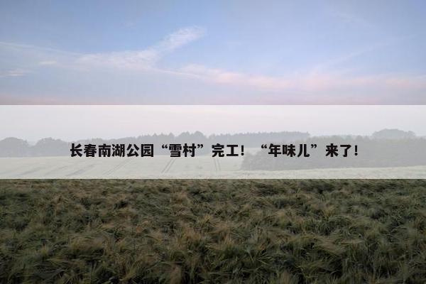 长春南湖公园“雪村”完工！“年味儿”来了！