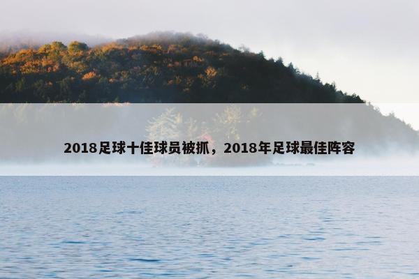 2018足球十佳球员被抓，2018年足球最佳阵容