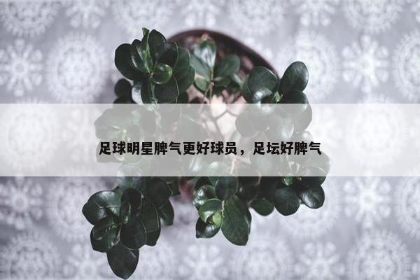 足球明星脾气更好球员，足坛好脾气