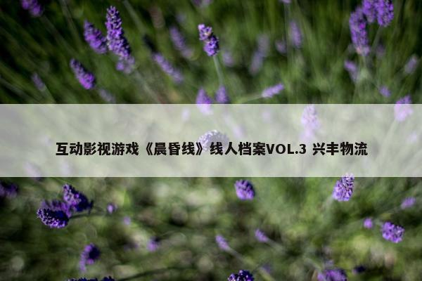 互动影视游戏《晨昏线》线人档案VOL.3 兴丰物流