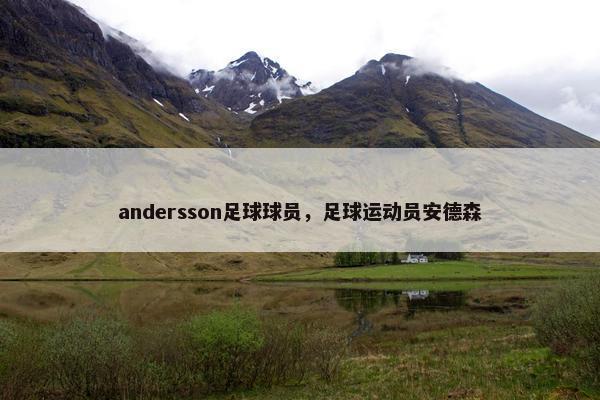 andersson足球球员，足球运动员安德森