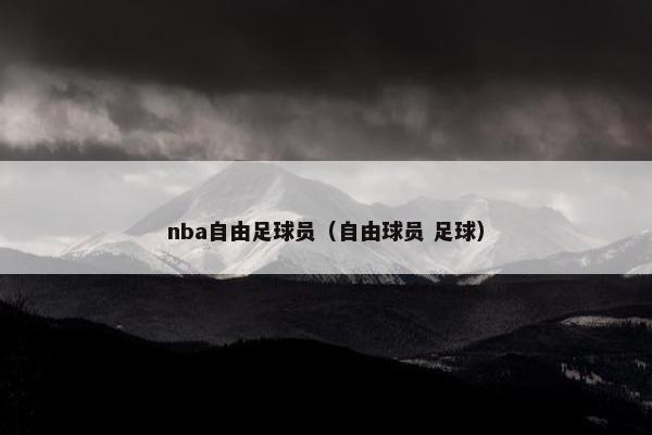 nba自由足球员（自由球员 足球）