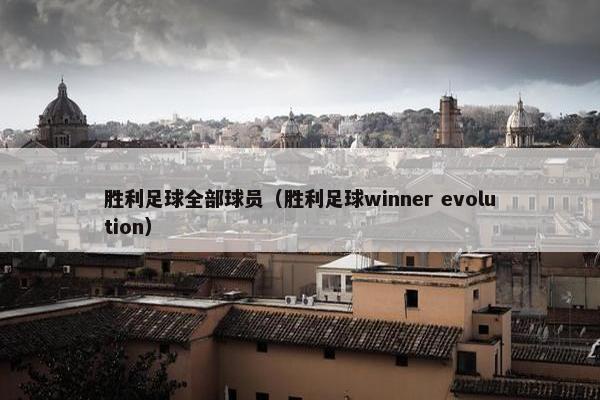 胜利足球全部球员（胜利足球winner evolution）