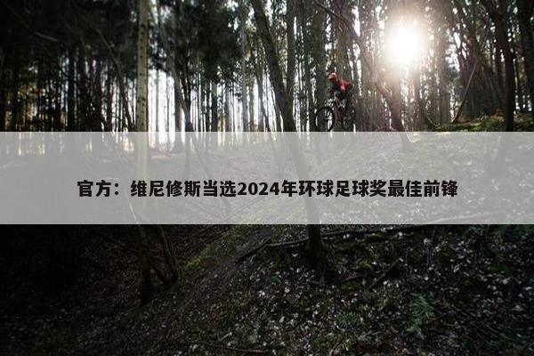 官方：维尼修斯当选2024年环球足球奖最佳前锋