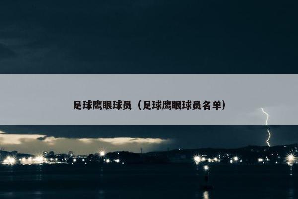 足球鹰眼球员（足球鹰眼球员名单）