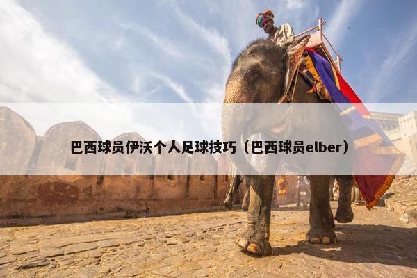 巴西球员伊沃个人足球技巧（巴西球员elber）