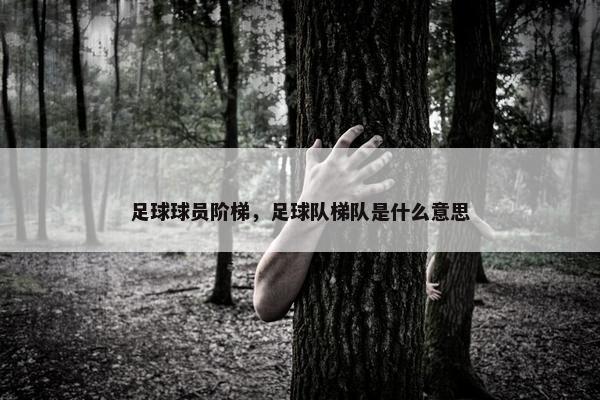 足球球员阶梯，足球队梯队是什么意思