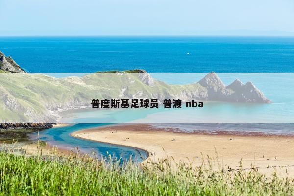 普度斯基足球员 普渡 nba