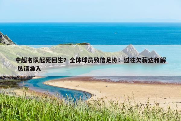 中超名队起死回生？全体球员致信足协：过往欠薪达和解 恳请准入