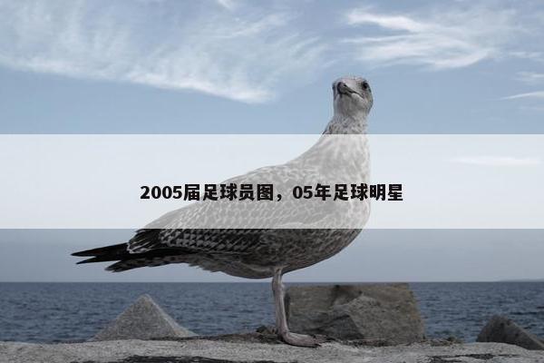 2005届足球员图，05年足球明星