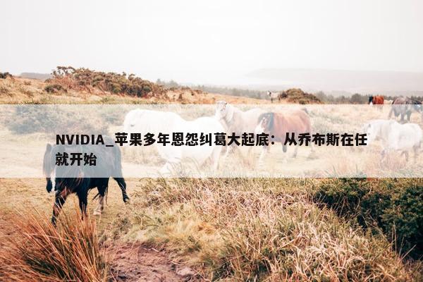 NVIDIA_苹果多年恩怨纠葛大起底：从乔布斯在任就开始