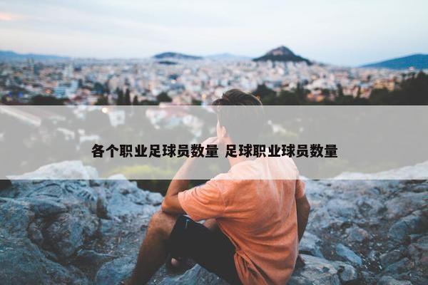 各个职业足球员数量 足球职业球员数量